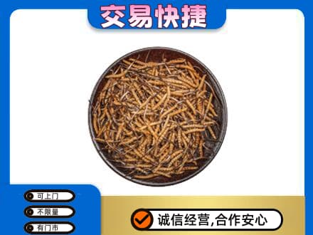 梅州市梅县回收散虫草